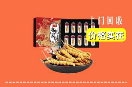 孙吴县回收冬虫夏草